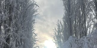 В селе Каскасу восстановили электроподачу