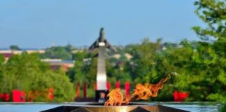 Юбилейный год Победы. Как он у нас прошел?