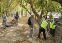 СКВЕРное дело: реакция последовала