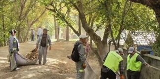 СКВЕРное дело: реакция последовала