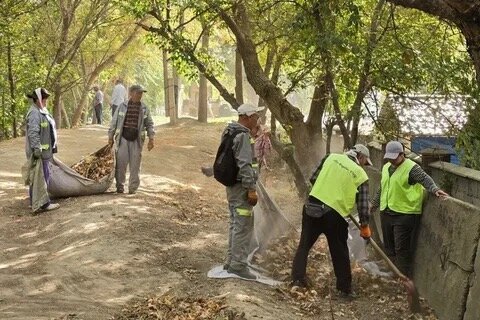 image-27-11-25-11-50 (2)