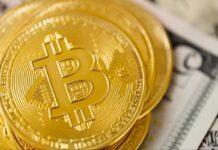 Социальные и образовательные инициативы в криптопространстве Казахстана Криптовалюта