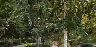 Верность Бориса Кравцова