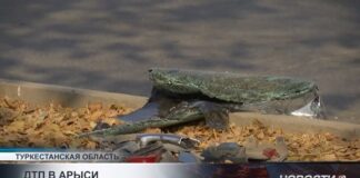 В Арыси полицейская машина попала в ДТП, есть пострадавшие