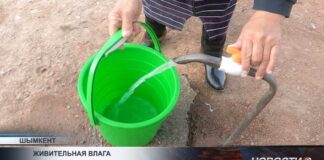 В ещё одном жилом массиве Шымкента провели питьевую воду