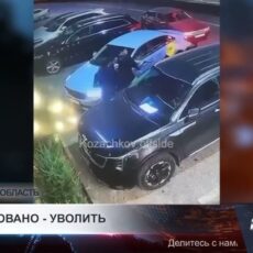 Чиновника из Туркестанской области хотят уволить из-за участия в драке