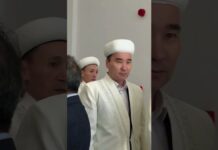 Безопасность подростков в Шымкенте под особым контролем