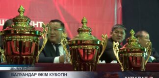 100 палуанов боролись за Кубок акима Шымкента по қазақ күресі