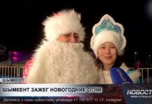 С огнями, музыкой и сказкой: как зажгли главную елку в Шымкенте