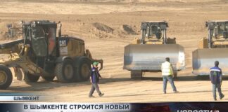 В Шымкенте строится крупный тепличный комплекс