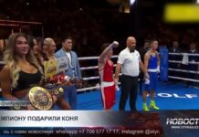 В Шымкенте Сакену Бибосынову подарили скакуна