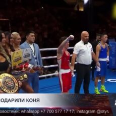 В Шымкенте Сакену Бибосынову подарили скакуна