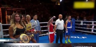 В Шымкенте Сакену Бибосынову подарили скакуна