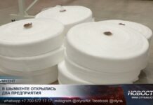 Два новых предприятия запустились в Шымкенте