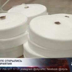 Два новых предприятия запустились в Шымкенте