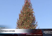 Новый год всё ближе: в Шымкенте установили 81 натуральную ель