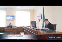 В Шымкенте женщина продавала несуществующие автомобили