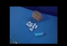 Иностранные закладчики работали в Шымкенте: оба задержаны