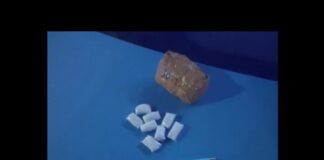 Иностранные закладчики работали в Шымкенте: оба задержаны