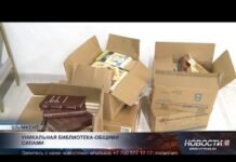 В Шымкенте создают библиотеку языков и культур с помощью горожан