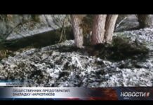 В Шымкенте блогеры показали, как соцсети могут спасать… и карать