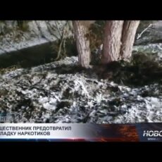 В Шымкенте блогеры показали, как соцсети могут спасать… и карать