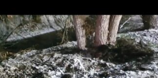 В Шымкенте блогеры показали, как соцсети могут спасать… и карать