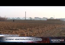 220 тыс. гектаров земель вернули государству в Туркестанской области