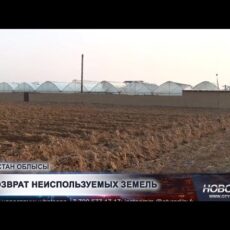 220 тыс. гектаров земель вернули государству в Туркестанской области