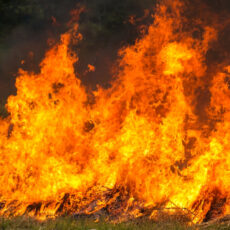 260 тонн хлопка сгорело при пожаре в Туркестанской области (видео)