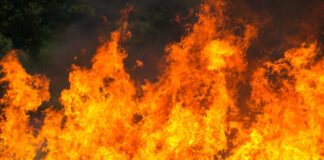 260 тонн хлопка сгорело при пожаре в Туркестанской области (видео)