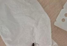 Спираль пробила стенку кишки: как в Шымкенте спасли женщину