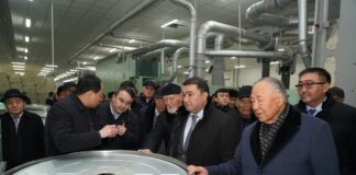 В Туркестане запустили крупнейшее текстильное производство