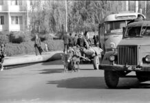 Первый аэродром, несостоявшийся проект. Интересные воспоминания о Чимкенте