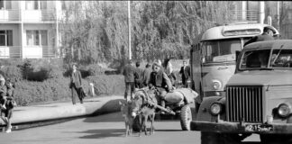 Первый аэродром, несостоявшийся проект. Интересные воспоминания о Чимкенте