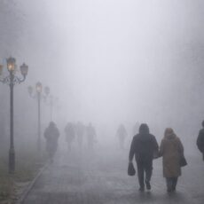 Какую погоду ожидать в Шымкенте