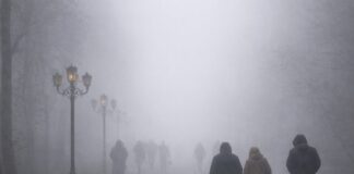 Какую погоду ожидать в Шымкенте