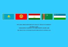 Казахстан принял председательство в рамках зоны, свободной от ядерного оружия в Центральной Азии