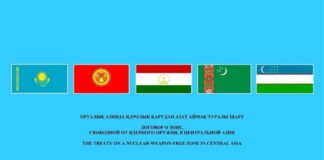 Казахстан принял председательство в рамках зоны, свободной от ядерного оружия в Центральной Азии