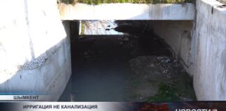 Зловоние и крысы: улица в Шымкенте утопает в нечистотах