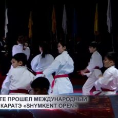 В Шымкенте прошёл международный отборочный турнир по каратэ WKF