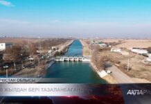 Впервые за 40 лет в Жетысае проводят очистку каналов