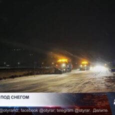 Последствия снегопада: 50 ДТП и поваленные деревья