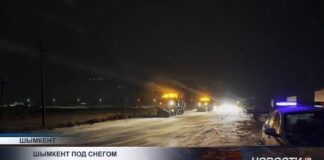 Последствия снегопада: 50 ДТП и поваленные деревья