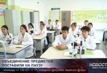 В Минпросвещения пересмотрели реформу школьных предметов