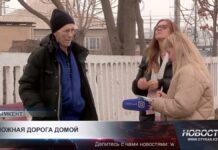 18 лет труда и жизнь без документов: история чабана, оказавшегося в Шымкенте