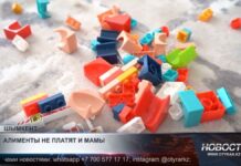 Даже матери: в Шымкенте женщины уклоняются от уплаты алиментов