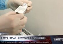Что известно о вирусе Нипах: эпидемиологическая ситуация в Шымкенте