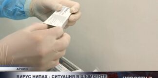 Что известно о вирусе Нипах: эпидемиологическая ситуация в Шымкенте