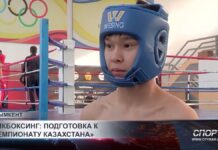 В Шымкенте проходит первенство города по кикбоксингу